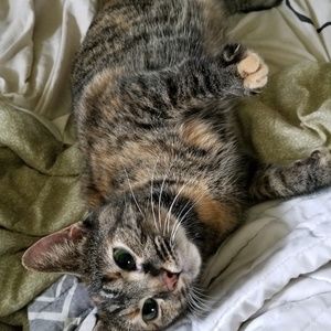 Meet your Posher, Tabitha